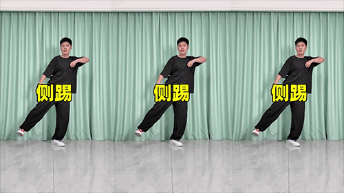 侧踢（横屏）.png