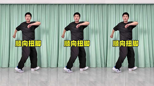 顺向扭脚-曳步舞动作合集（横屏）